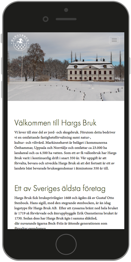Printscreen mobilanpasad hemsida